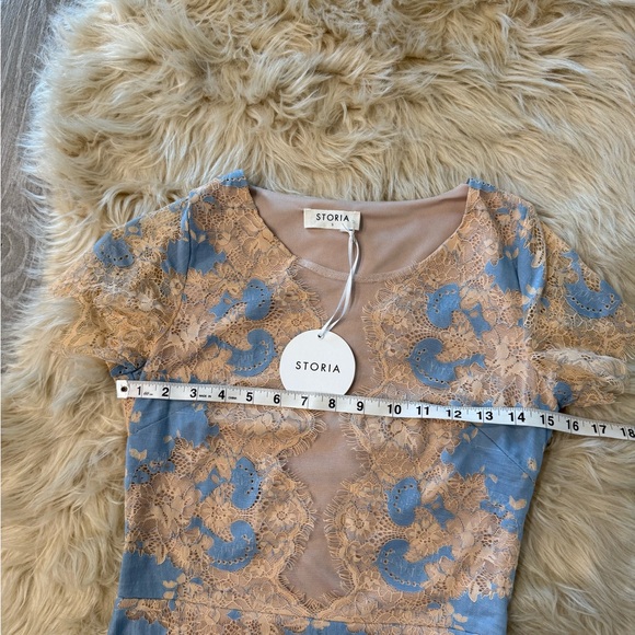 NWT Storia Aries Lace Mesh Mini Dress - Picture 13 of 14